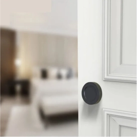 Ручка дверная круглая LOFT DOOR HANDLE арт608